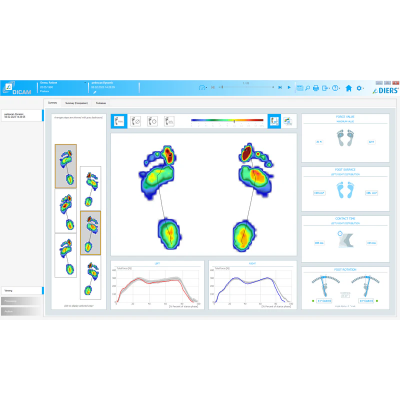 DIERS postura - SOFTWARE (licença)